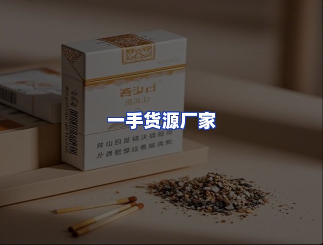 专业团队